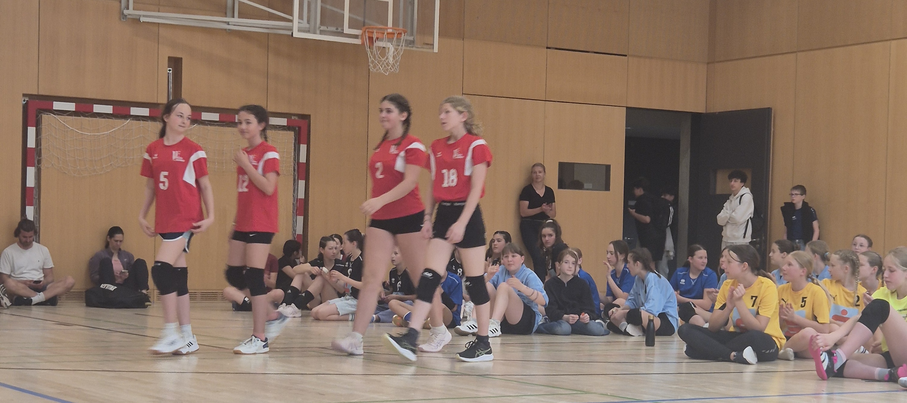Minivolleyball Landesmeisterschaft